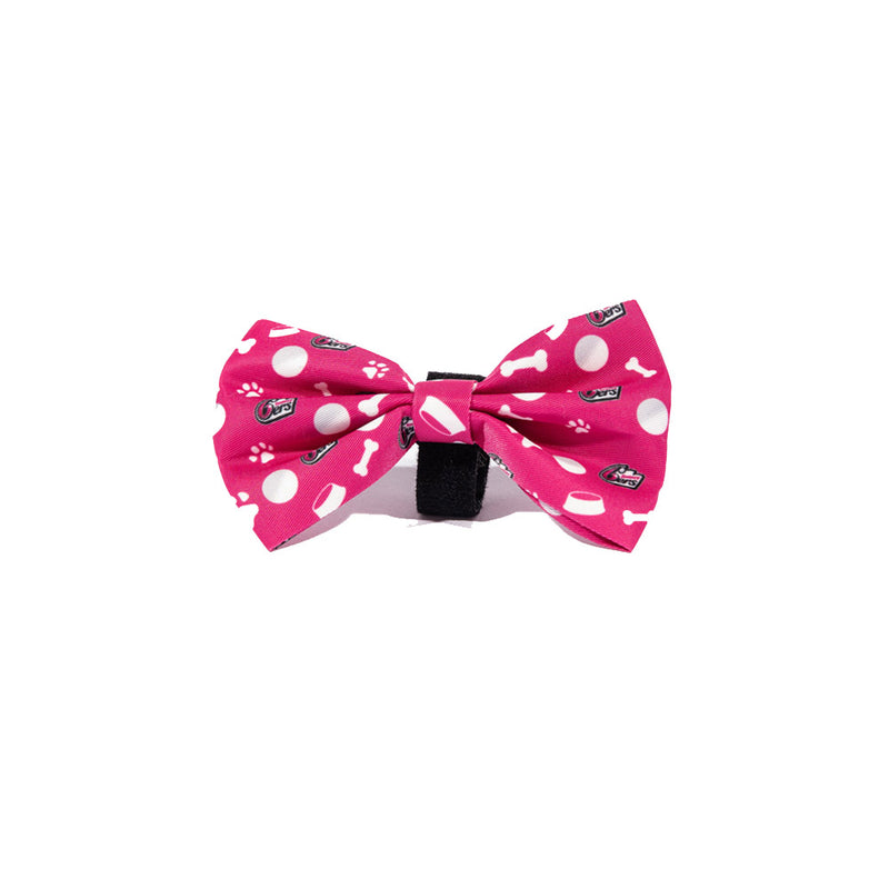 BBL Dog Bowtie