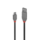 Lindy USB-A 2.0 až Micro-B Anthra Line