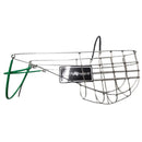 Greyhound Hundemündung