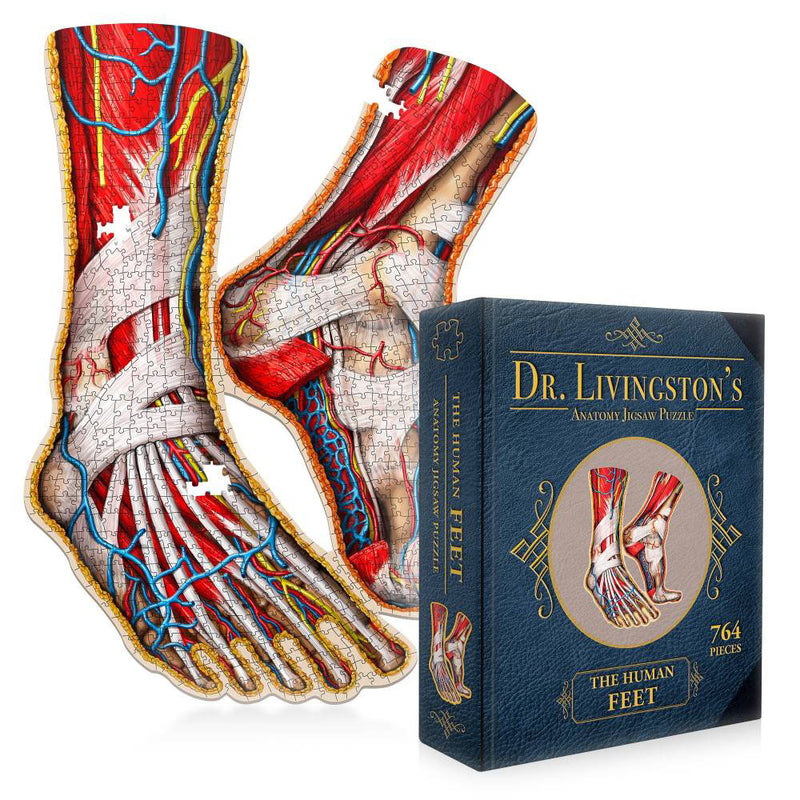 Dr. Livingstons Anatomie -Puzzle -Puzzle