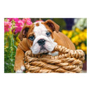 Castorland Classic skládačka 70pcs