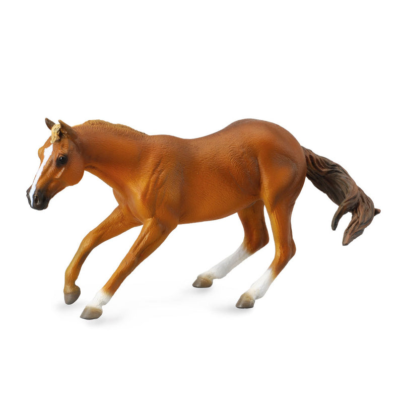  CollectA Quarter Stallion Figur (extra groß)