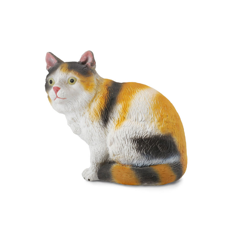  CollectA Moggy Cat Figur (klein)
