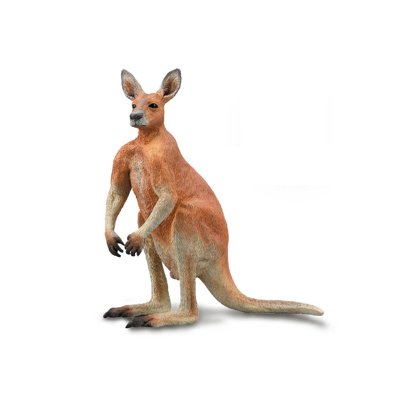 CollectA Rotes Känguru (groß)