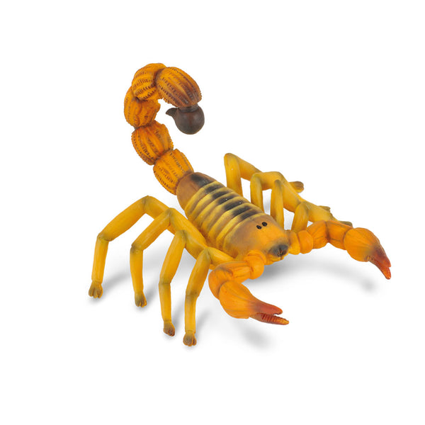 CollectA Fat Tailed Scorpion Figure (Medium)