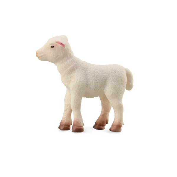 CollectA Standing Lamb Figure (Small)