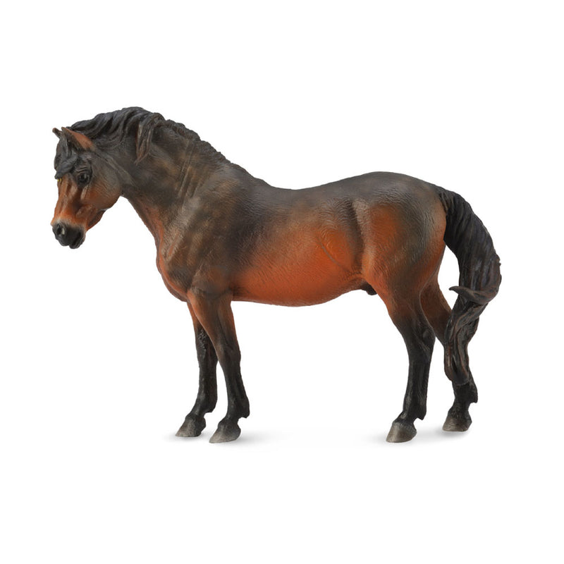 CollectA Dartmoor Horse Bay Figur (groß)