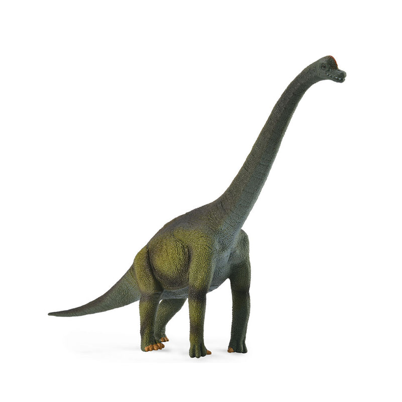CollectA Brachiosaurus-Dinosaurierfigur