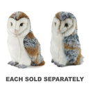 Living Nature Barn Owl