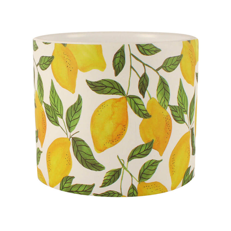 Zitronenbaum-Keramik-Blumentopf