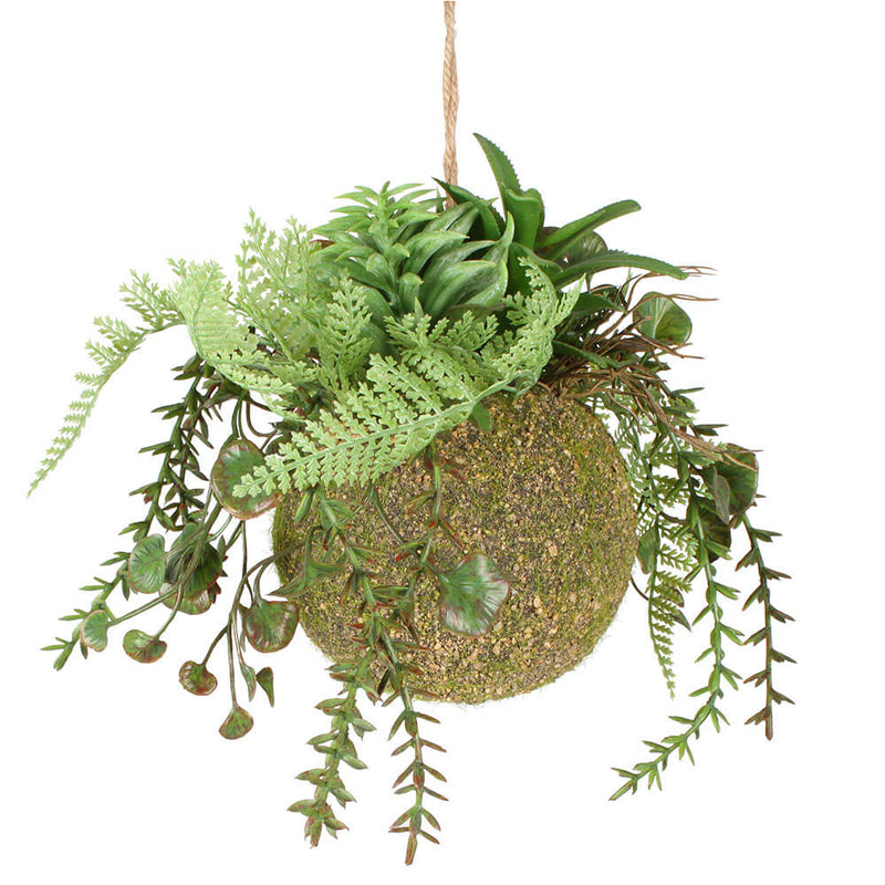 Moana Kokedama smíšené visící