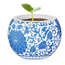 Pintoo Flowerpot 3D skládačka 80pcs