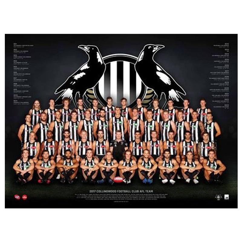 AFL 2017 Teamposter