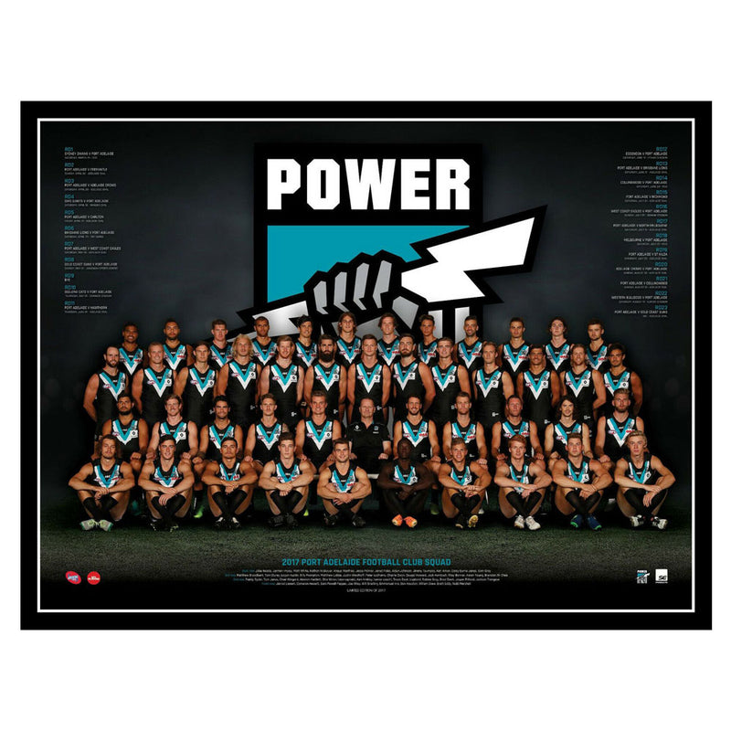 AFL 2017 Teamposter