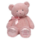 Gund můj první teddy