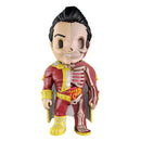 XXRAY Lustige Anatomiefigur