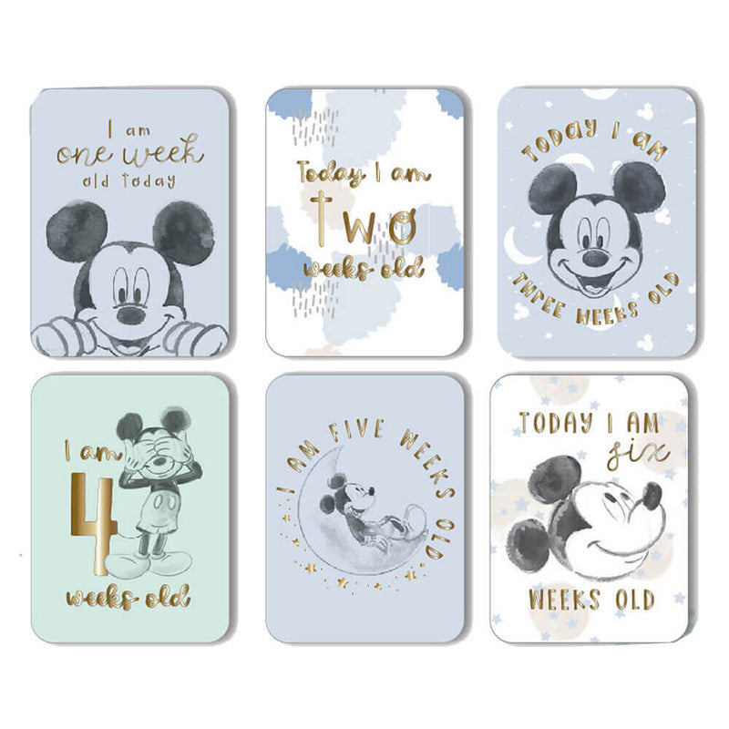 Disney Gifts Milestone Cards (24ks)
