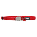 Klasický límec kotě