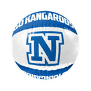 AFL nafukovací plážový míč